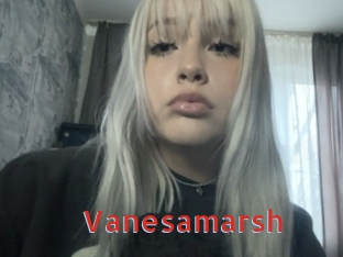 Vanesamarsh