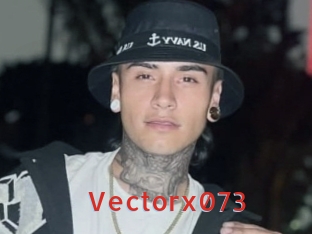 Vectorx073