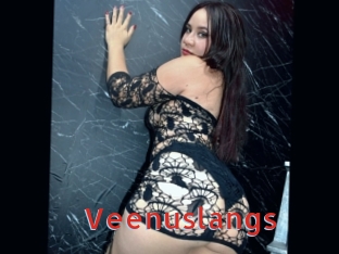 Veenuslangs
