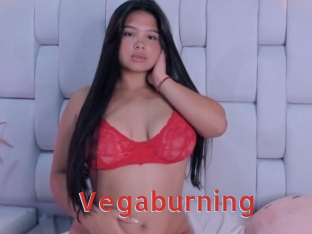 Vegaburning