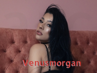 Venusmorgan