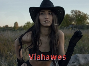 Viahawes