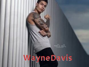 WayneDavis