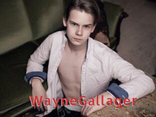 WayneGallager