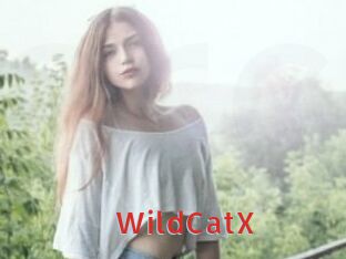Wild_CatX