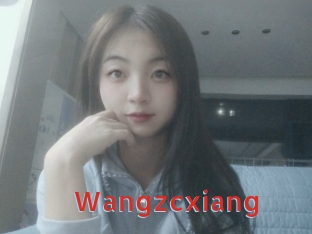 Wangzcxiang