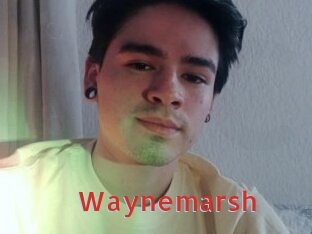 Waynemarsh