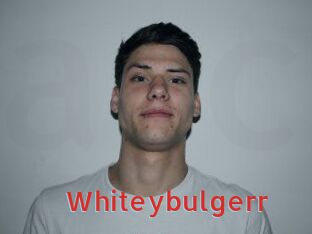 Whitey_bulgerr