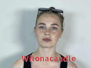 Wilonacaudle
