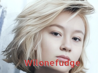 Wilonefudge