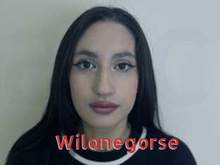 Wilonegorse