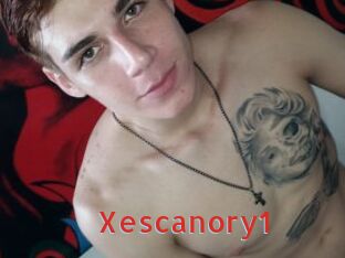 Xescanory1