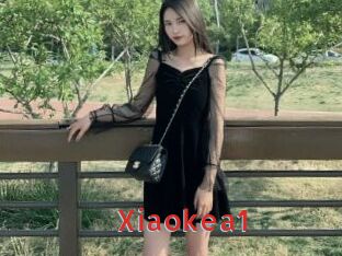 Xiaokea1