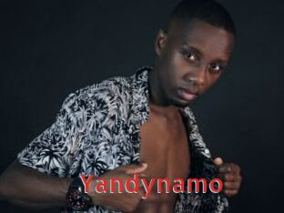 Yandynamo