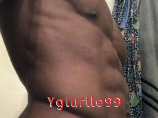 Ygturtle99