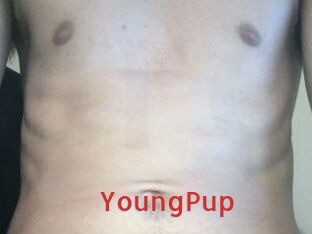 YoungPup