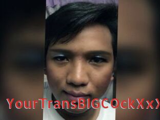 YourTransBIGCOckXxX