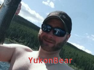 YukonBear