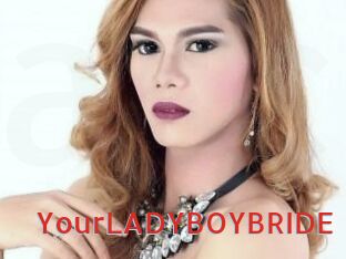 YourLADYBOYBRIDE