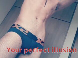 Your_perfect_illusion
