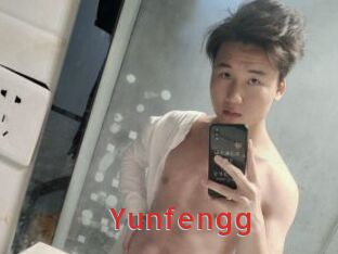 Yunfengg