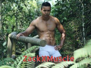ZackXMuscle