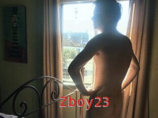 Zboy23