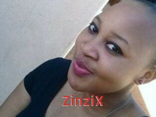 ZinziX