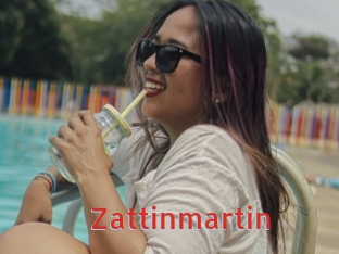 Zattinmartin