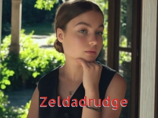 Zeldadrudge