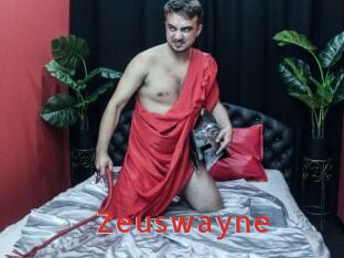 Zeuswayne